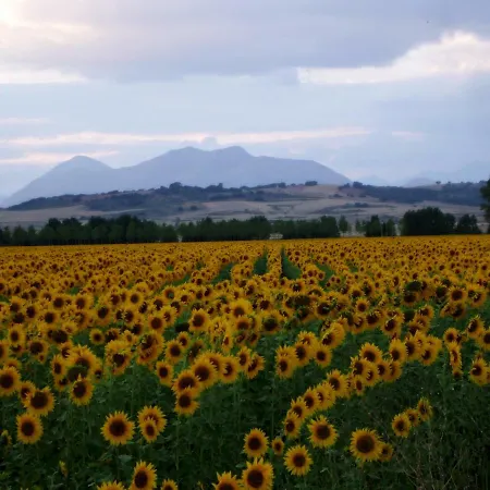 Hétvégi ház Finca Santa Eufemia
