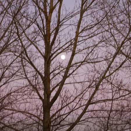 Finca Santa Eufemia Hétvégi ház