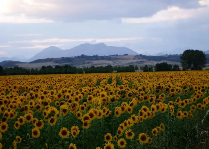 컨트리하우스 Finca Santa Eufemia