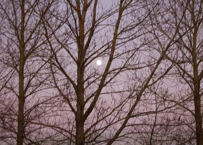 Finca Santa Eufemia 컨트리하우스