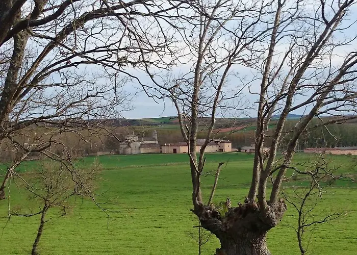 Finca Santa Eufemia Olmos de Ojeda