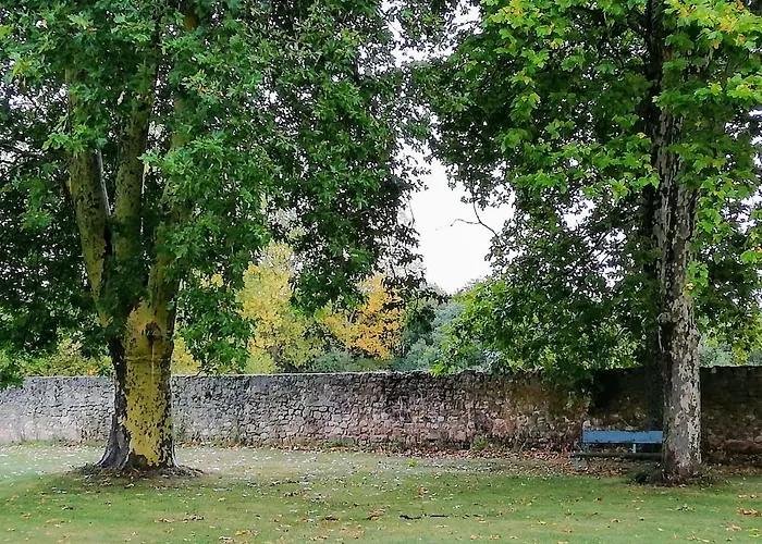 Finca Santa Eufemia Olmos de Ojeda