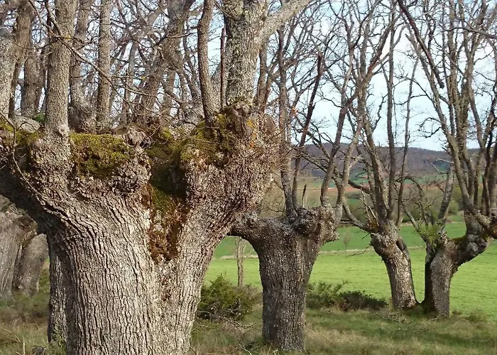 Finca Santa Eufemia 컨트리하우스